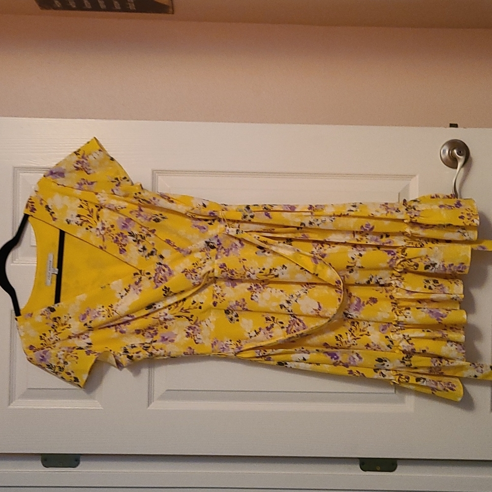 Julia Jordan dress